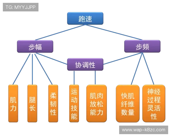 跑得快：跑步速度提升的日常训练计划与注意事项
