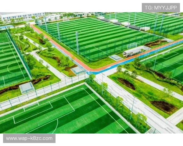 凯发体育登录官方入口，提供多样化的体育赛事直播与投注服务