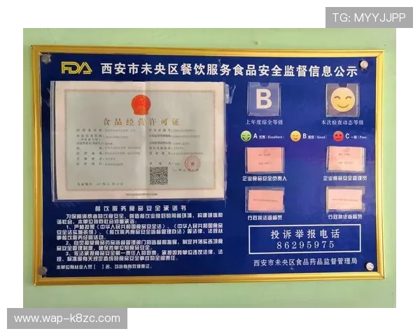 凯发国际网址安全保障措施，保障用户信息与资金安全的全面措施