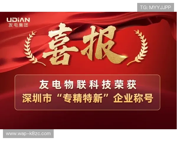 AG凯发K8国际集团的客户服务与技术支持详解,解决用户在使用过程中遇到的各种问题 AG凯发K8国际集团的客户服务与技术支持详解,解决用户在使用过程中遇到的各种问题